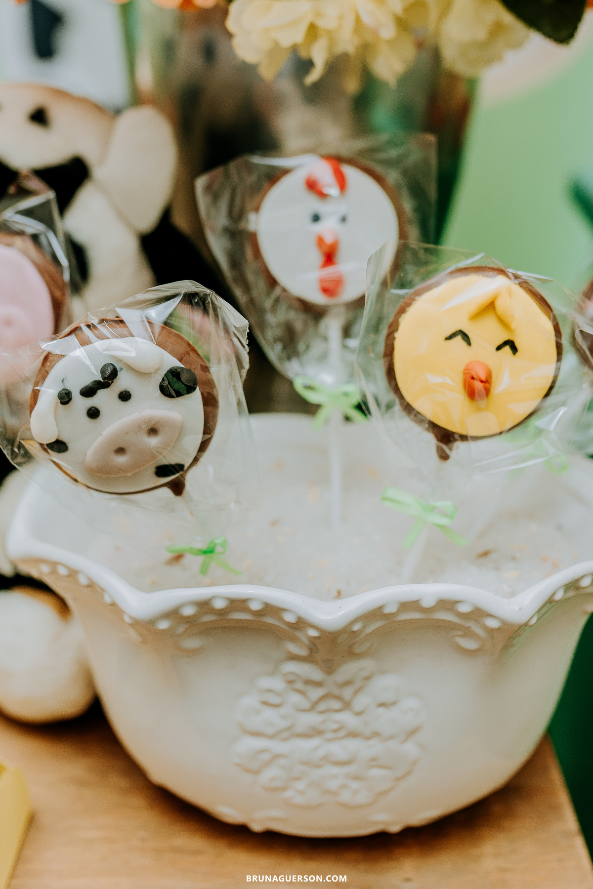 festa em casa fazendinha festa infantil Rio de Janeiro fotografa rj 
