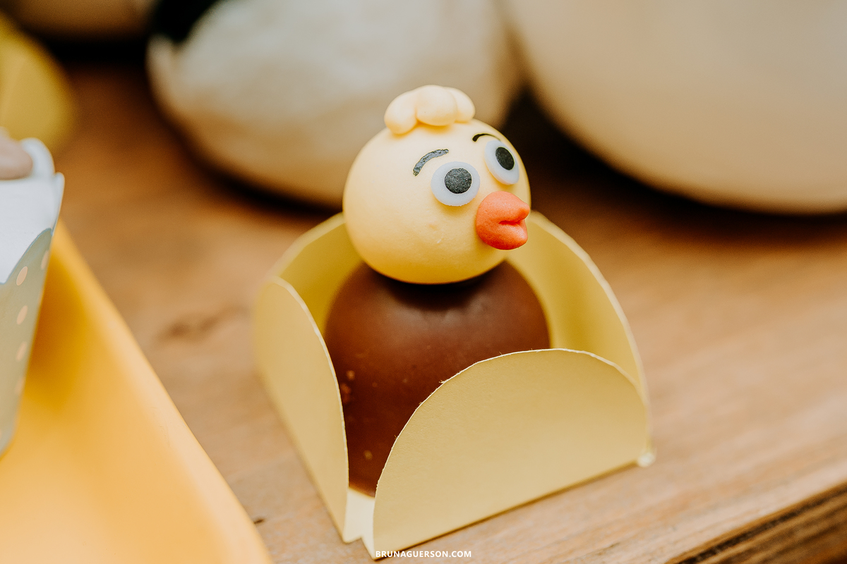 festa em casa fazendinha festa infantil Rio de Janeiro fotografa rj 