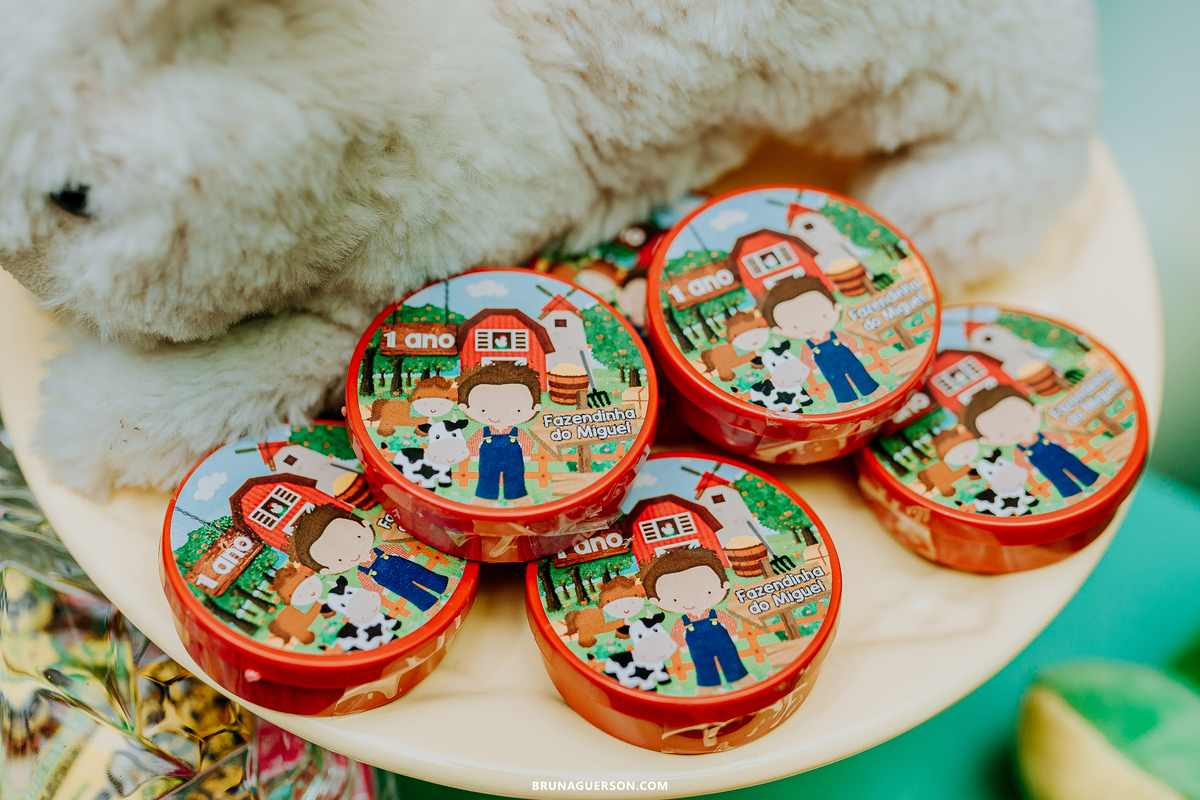 festa em casa fazendinha festa infantil Rio de Janeiro fotografa rj 