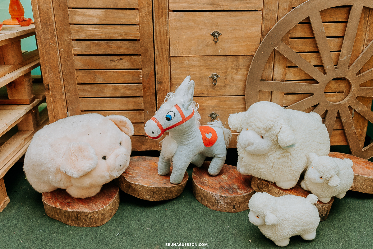 festa em casa fazendinha festa infantil Rio de Janeiro fotografa rj 