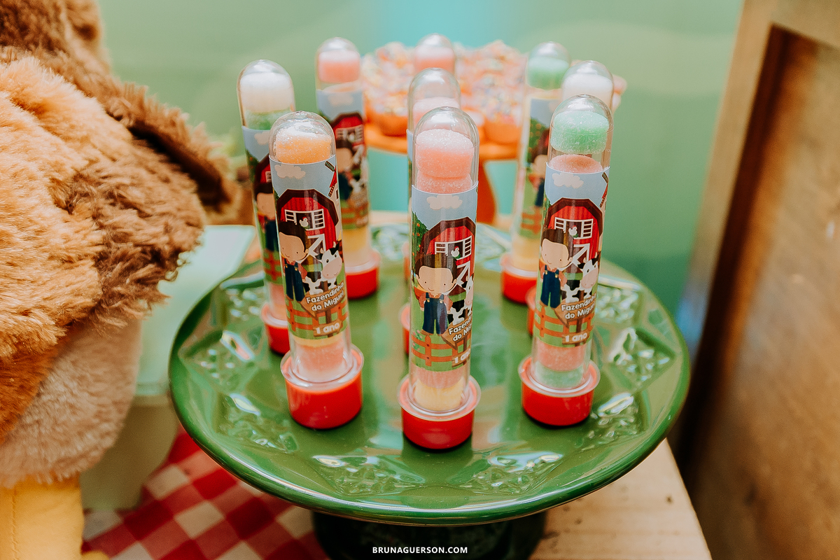 festa em casa fazendinha festa infantil Rio de Janeiro fotografa rj 