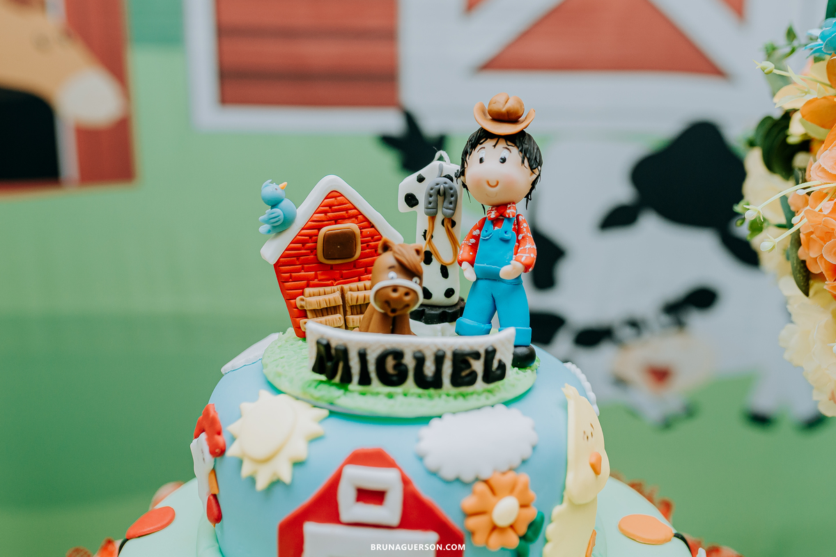 festa em casa fazendinha festa infantil Rio de Janeiro fotografa rj decoracao