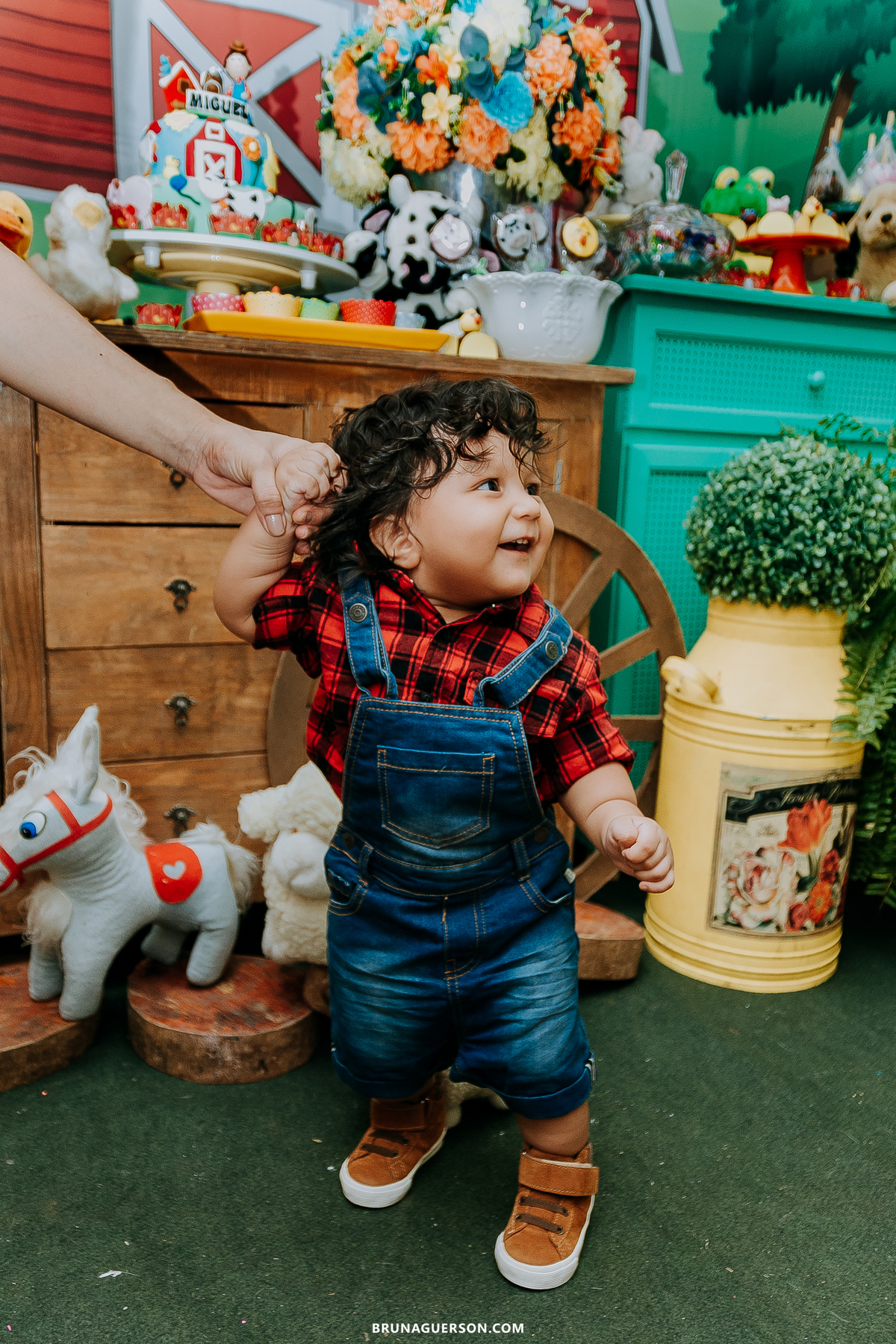 festa em casa fazendinha festa infantil Rio de Janeiro fotografa rj 