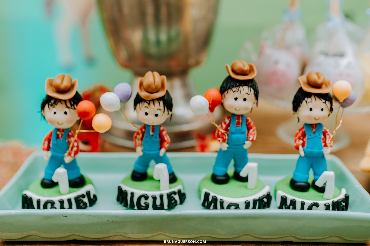 festa em casa fazendinha festa infantil Rio de Janeiro fotografa rj decoracao