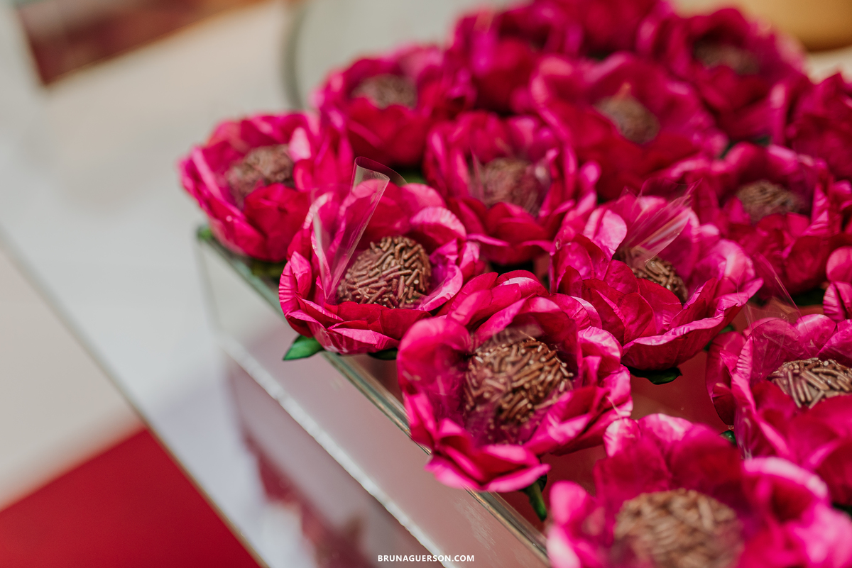 festa 50 anos aniversario bruna guerson fotografia ilha do governador rj rio de janeiro 