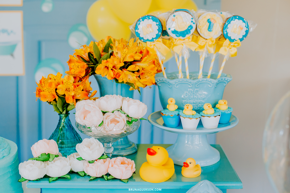 festa infantil fotografa Rio de Janeiro rj Jacarepaguá 1 ano 