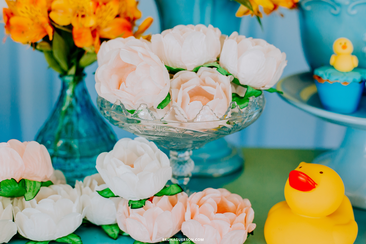 festa infantil fotografa Rio de Janeiro rj Jacarepaguá 1 ano 