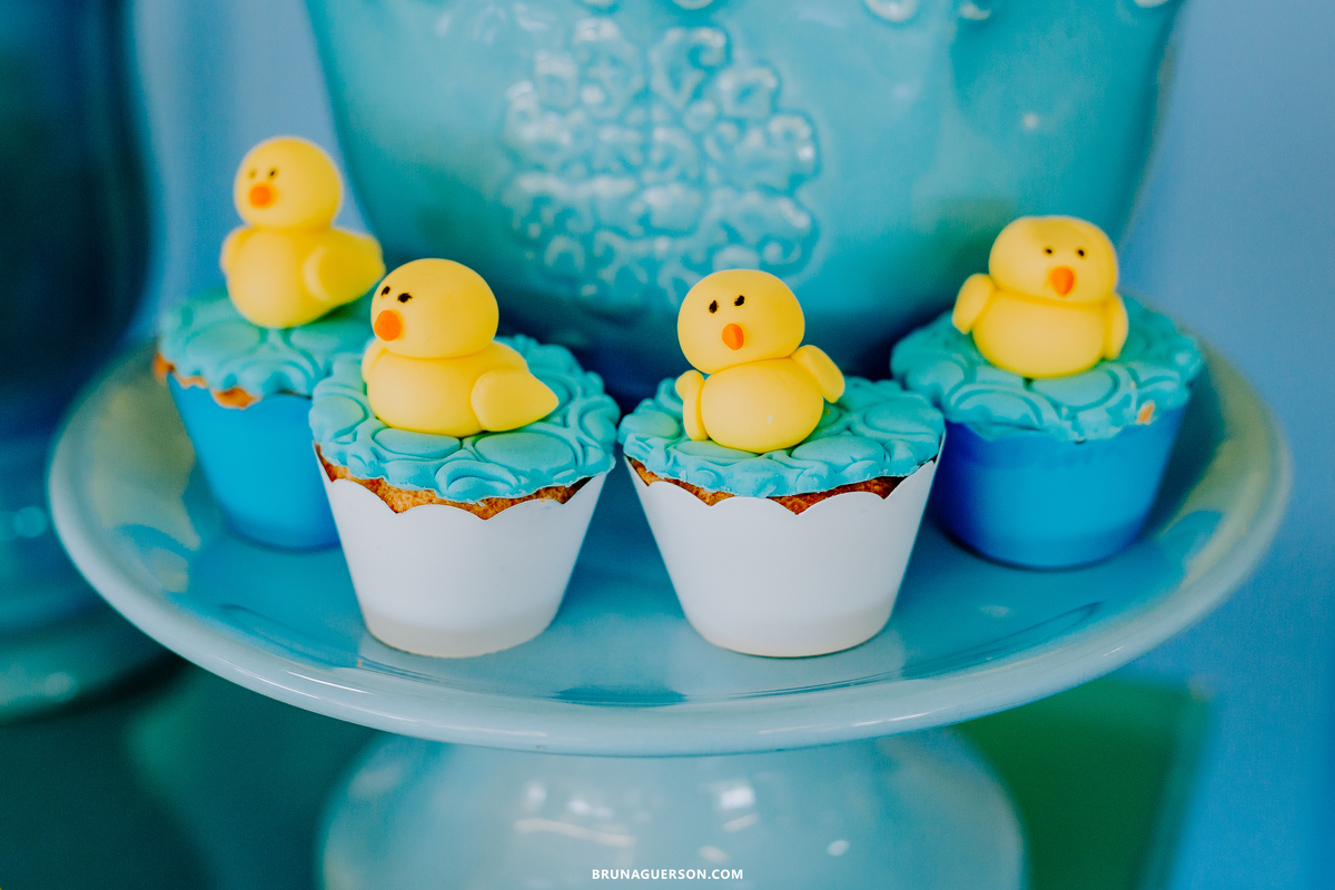 festa infantil fotografa Rio de Janeiro rj Jacarepaguá 1 ano 