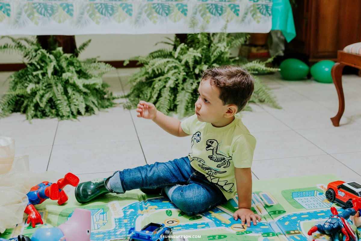 festa infantil em casa rj Rio de Janeiro fotografa ilha do governador 3 anos dinossauro