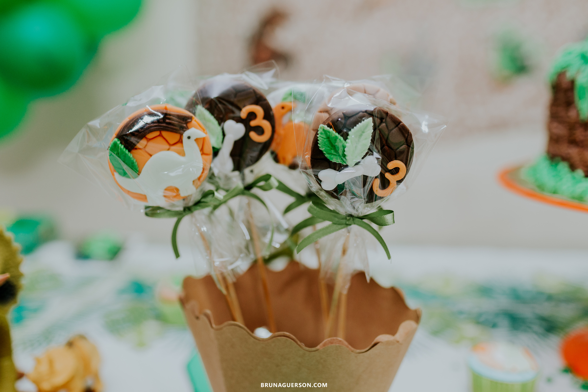 festa infantil em casa rj Rio de Janeiro fotografa ilha do governador 3 anos dinossauro