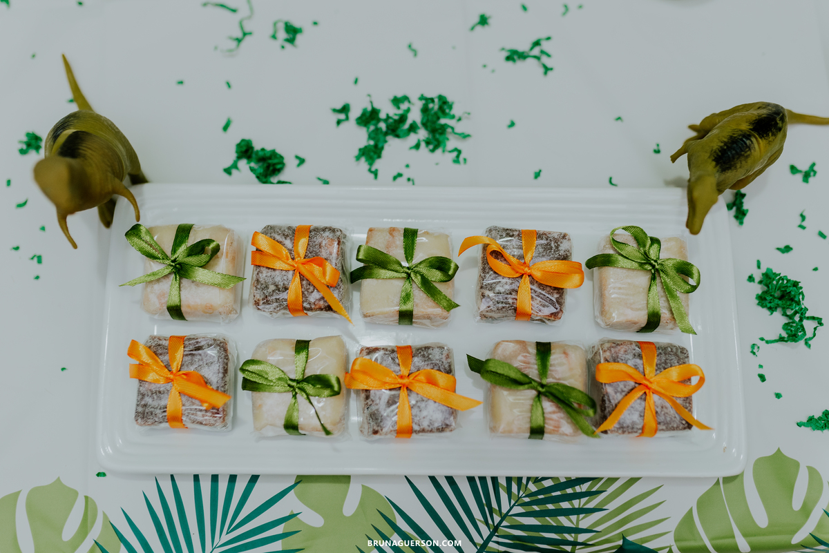 festa infantil em casa rj Rio de Janeiro fotografa ilha do governador 3 anos dinossauro