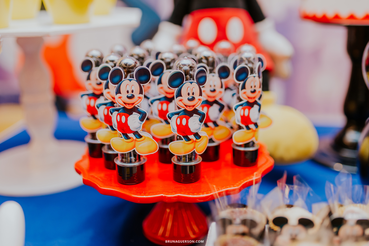 fotografia festa infantil casa shoppingg kids park rj fotografa mickey Minnie  