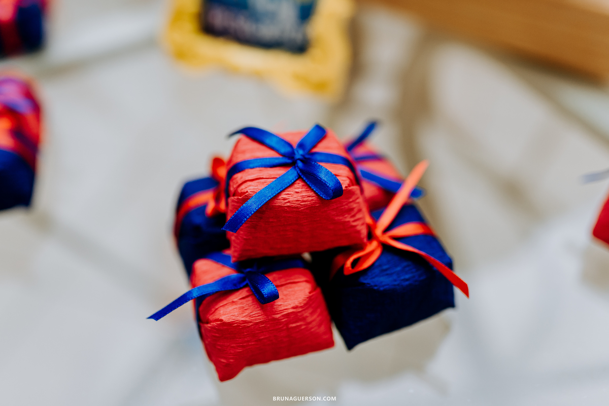 fotografia fotografa familia festa infantil rio de Janeiro rj Botafogo em casa 2 anos luna