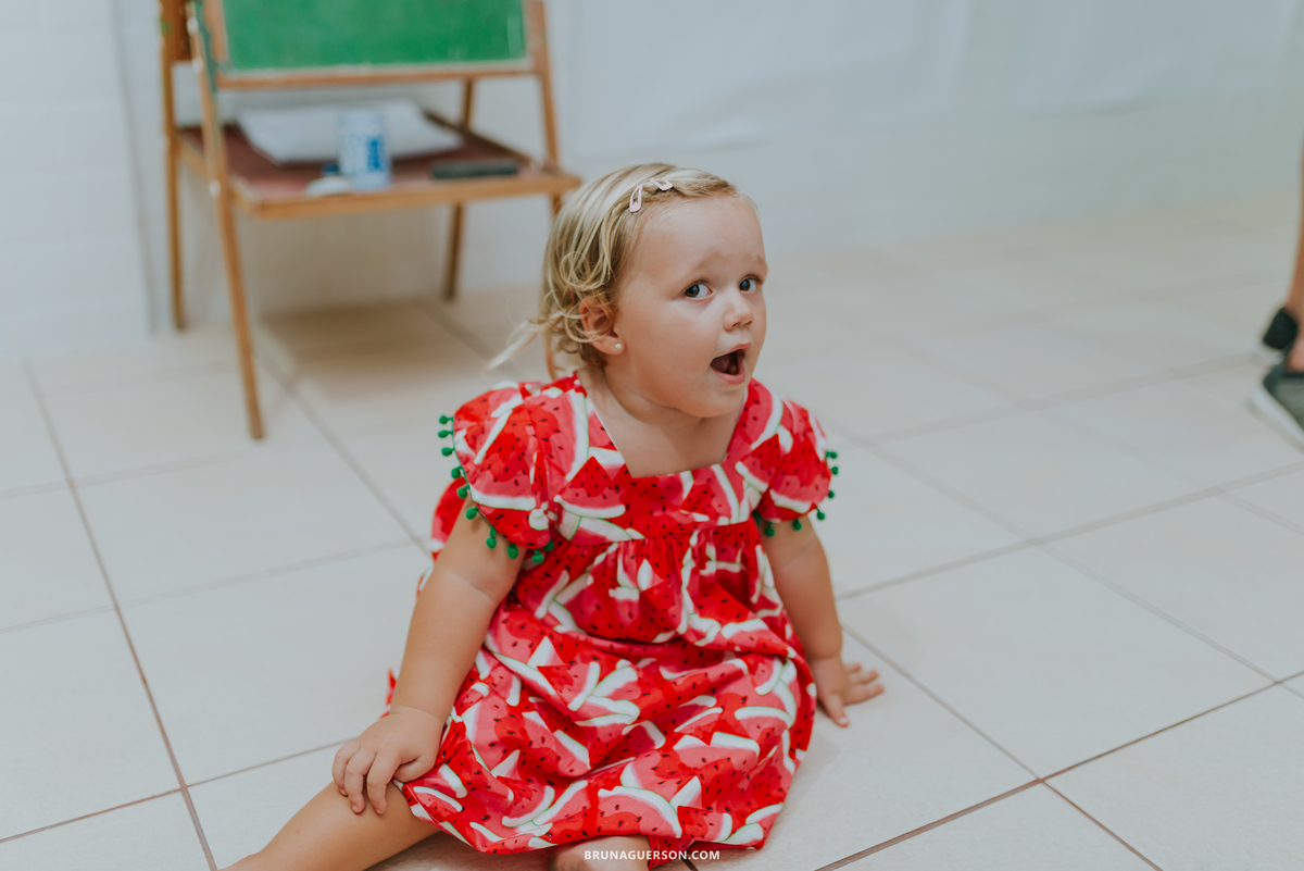fotografia fotografa familia festa infantil rio de Janeiro rj Botafogo em casa 2 anos luna