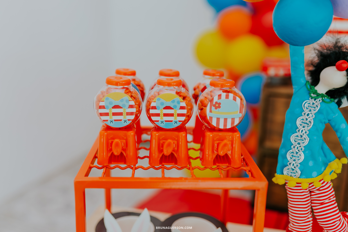 fotografa de familia fotografia festa infantil ao ar livre tema circo Rio de Janeiro 3 anos
