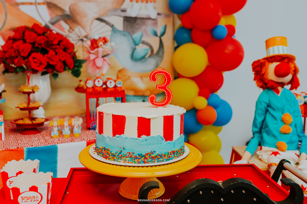 fotografa de familia fotografia festa infantil ao ar livre tema circo Rio de Janeiro 3 anos