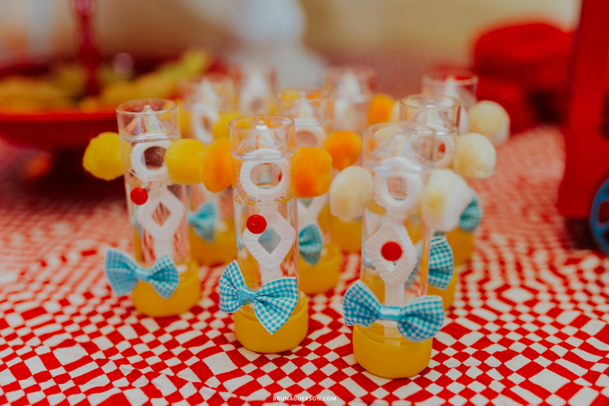 fotografa de familia fotografia festa infantil ao ar livre tema circo Rio de Janeiro 3 anos