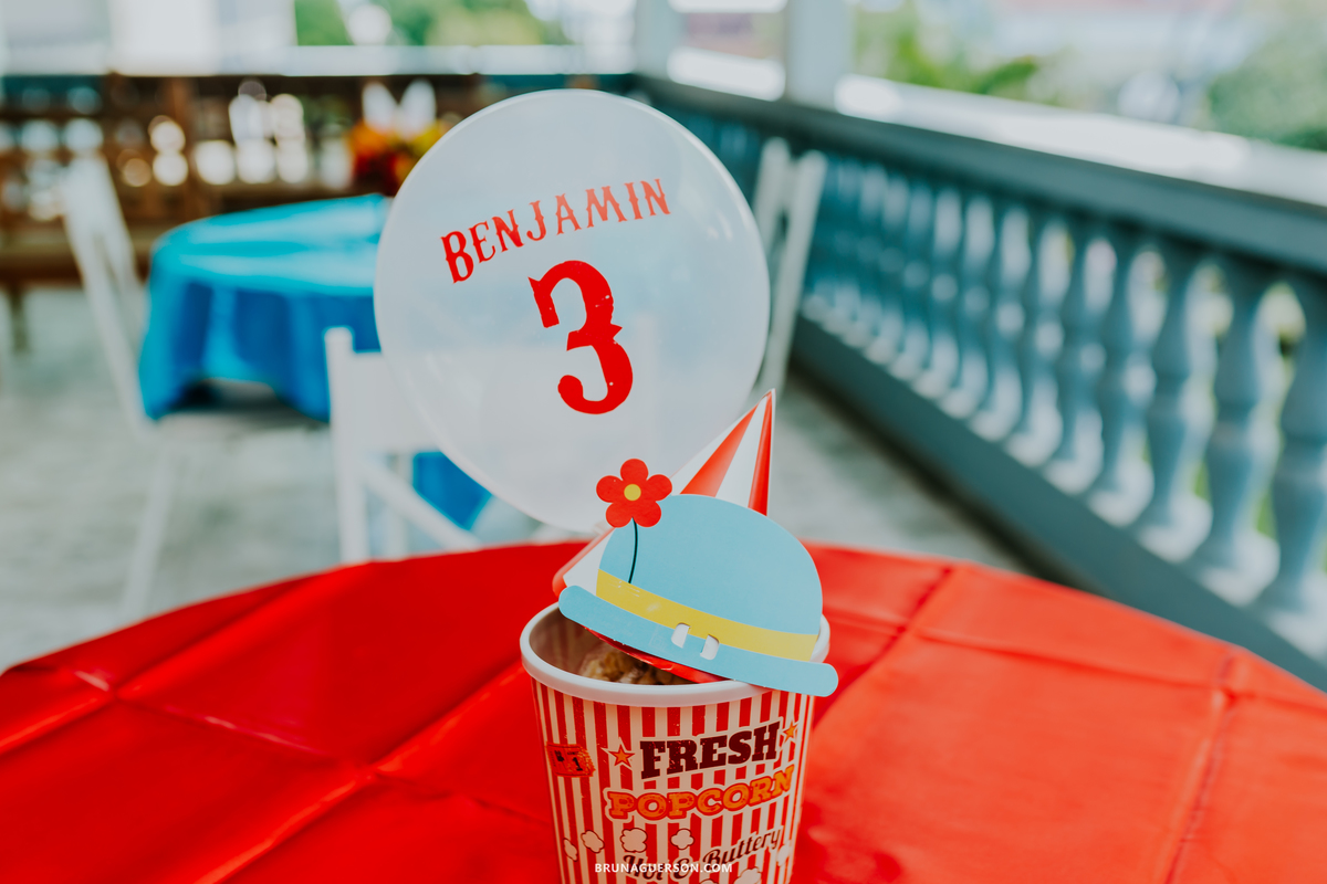 fotografa de familia fotografia festa infantil ao ar livre tema circo Rio de Janeiro 3 anos