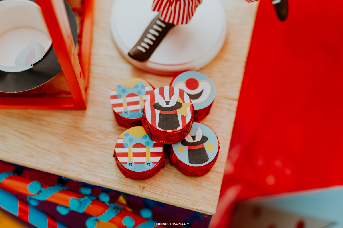fotografa de familia fotografia festa infantil ao ar livre tema circo Rio de Janeiro 3 anos