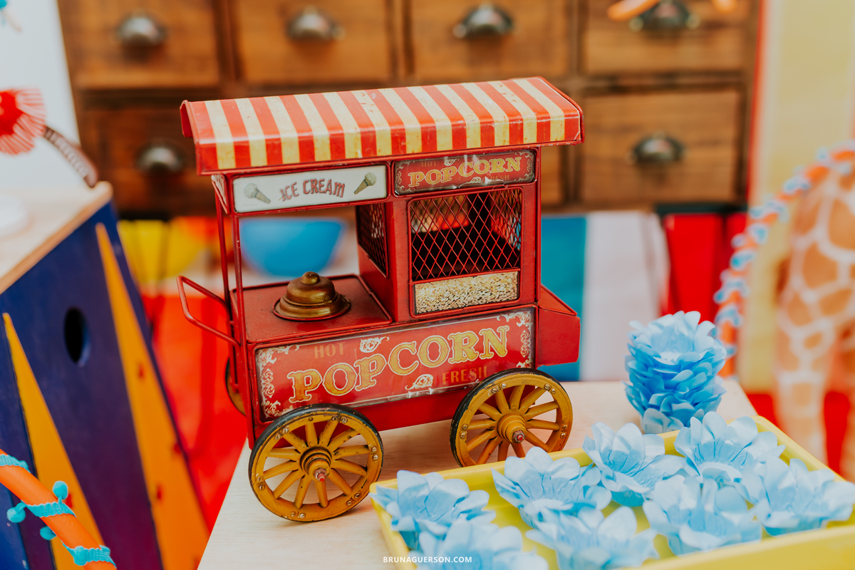 fotografa de familia fotografia festa infantil ao ar livre tema circo Rio de Janeiro 3 anos