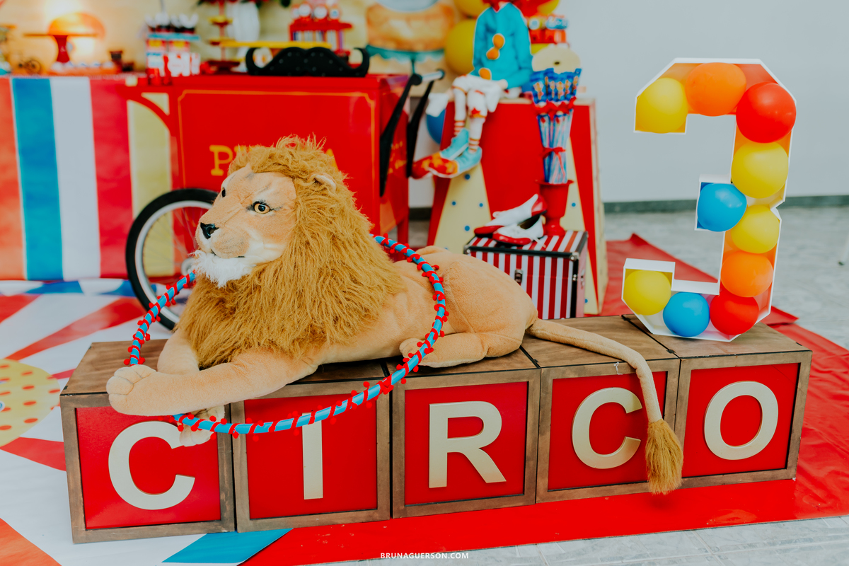 fotografa de familia fotografia festa infantil ao ar livre tema circo Rio de Janeiro 3 anos