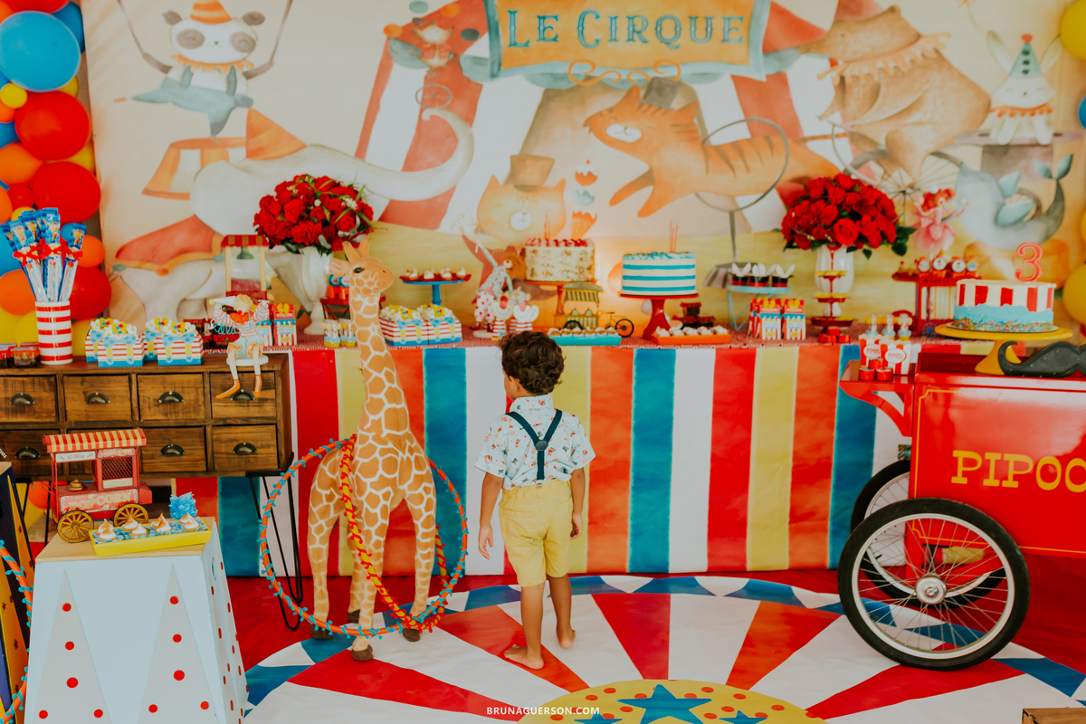 fotografa de familia fotografia festa infantil ao ar livre tema circo Rio de Janeiro 3 anos