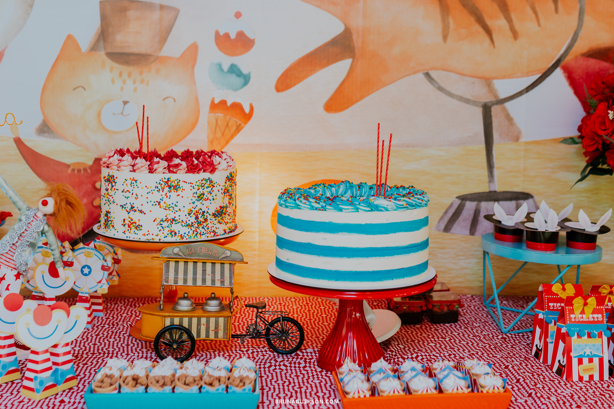 fotografa de familia fotografia festa infantil ao ar livre tema circo Rio de Janeiro 3 anos