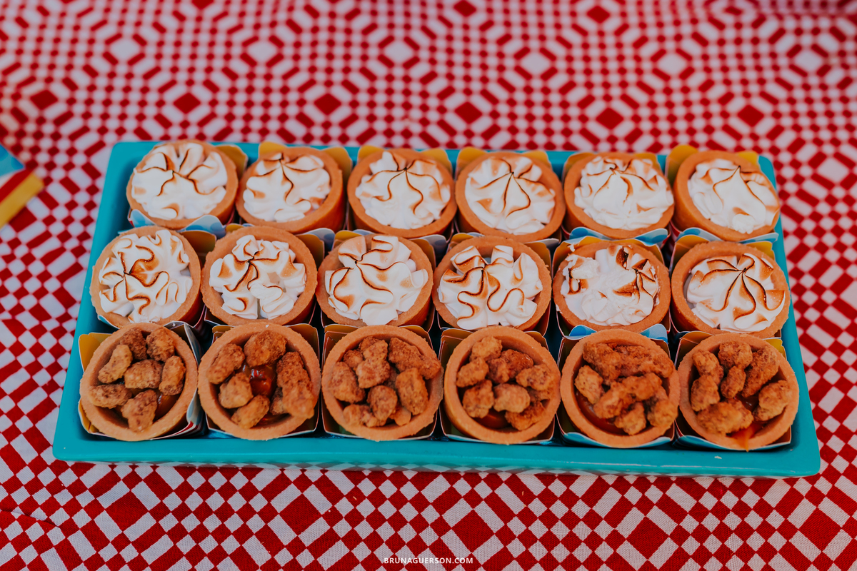 fotografa de familia fotografia festa infantil ao ar livre tema circo Rio de Janeiro 3 anos
