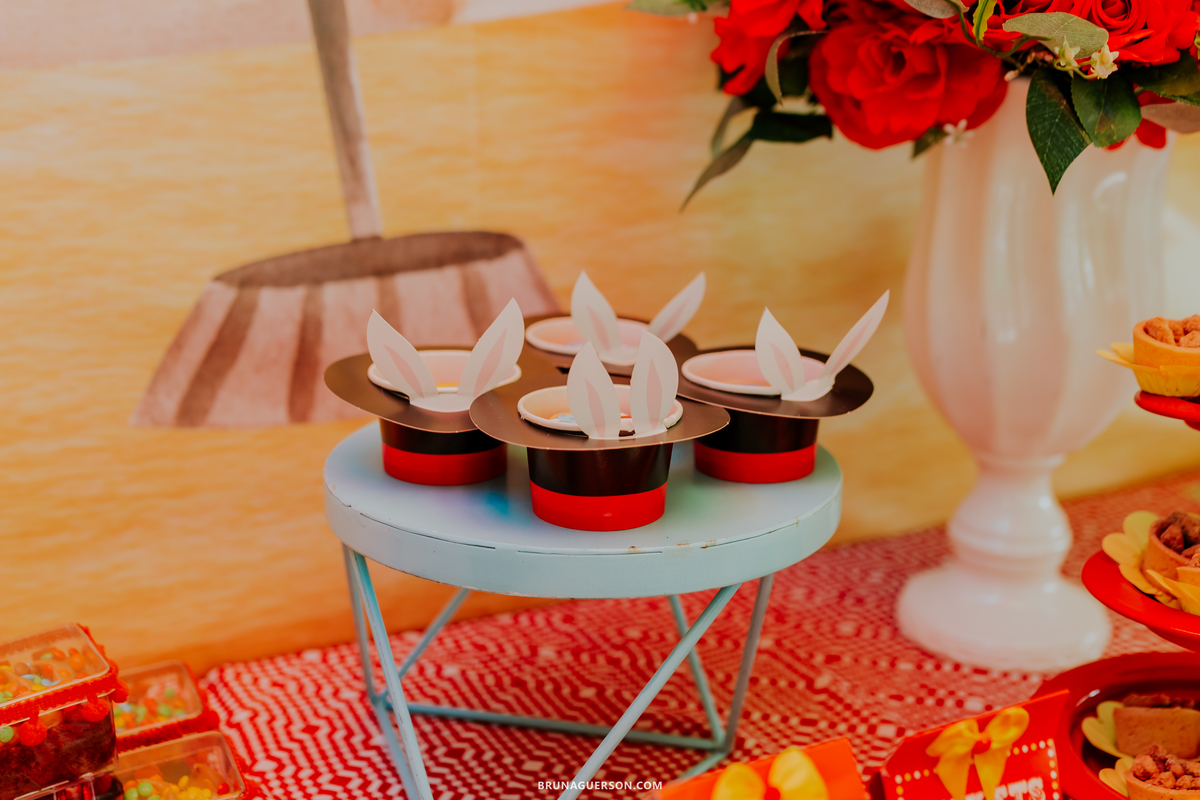 fotografa de familia fotografia festa infantil ao ar livre tema circo Rio de Janeiro 3 anos