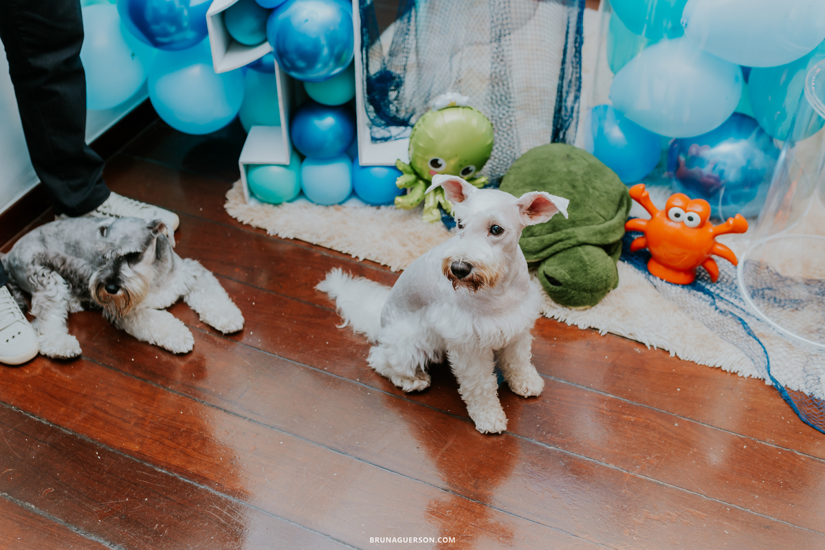 fotografia festa infantil em casa Botafogo Rio de Janeiro rj 1 ano 