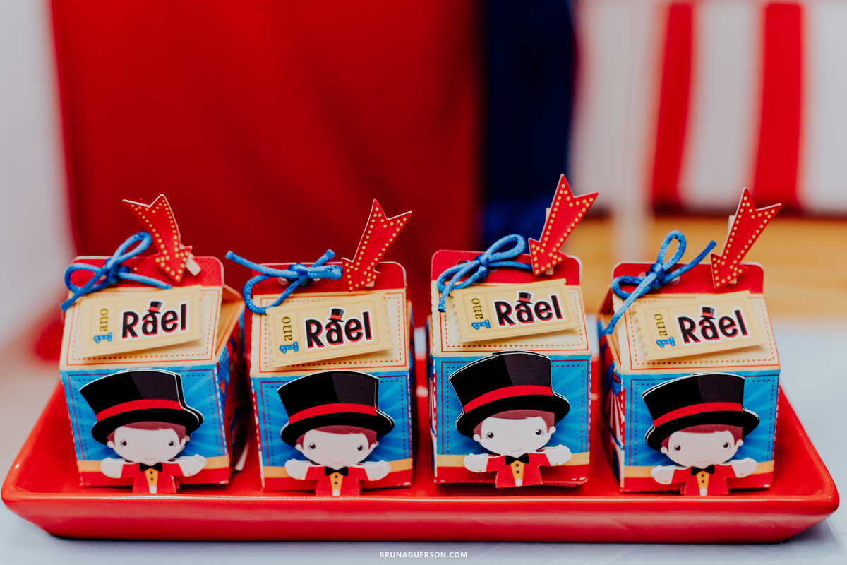 festa infantil Rio de Janeiro rj ilha do governador 1 ano rael circo 