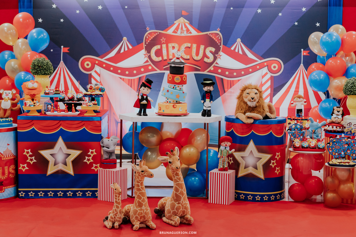 festa infantil Rio de Janeiro rj ilha do governador 1 ano rael circo 