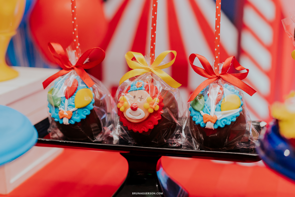 festa infantil Rio de Janeiro rj ilha do governador 1 ano rael circo 