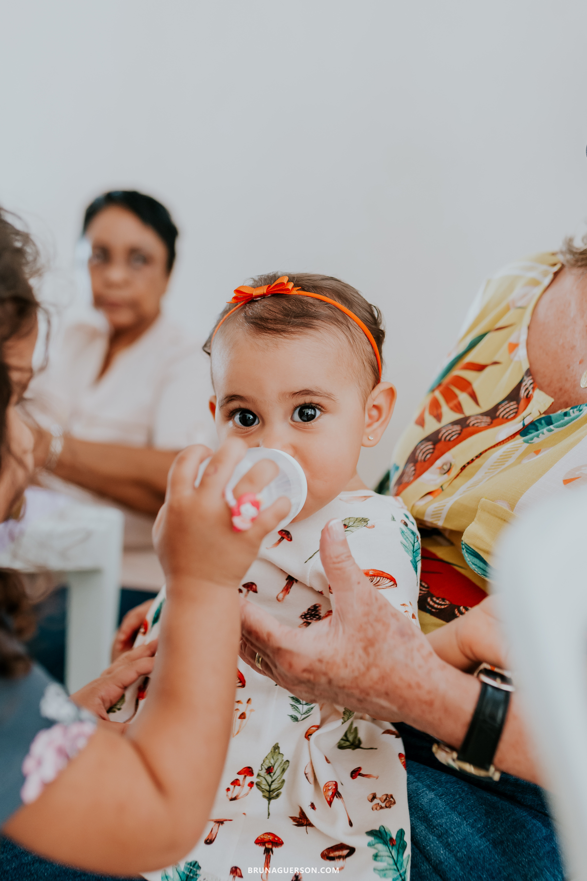 fotografia festa infantil em casa 1 ano menina raposa bosque encantado  rio de janeiro