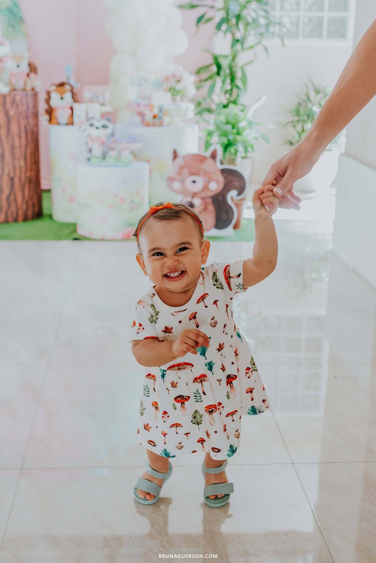 fotografia festa infantil em casa 1 ano menina raposa bosque encantado  rio de janeiro