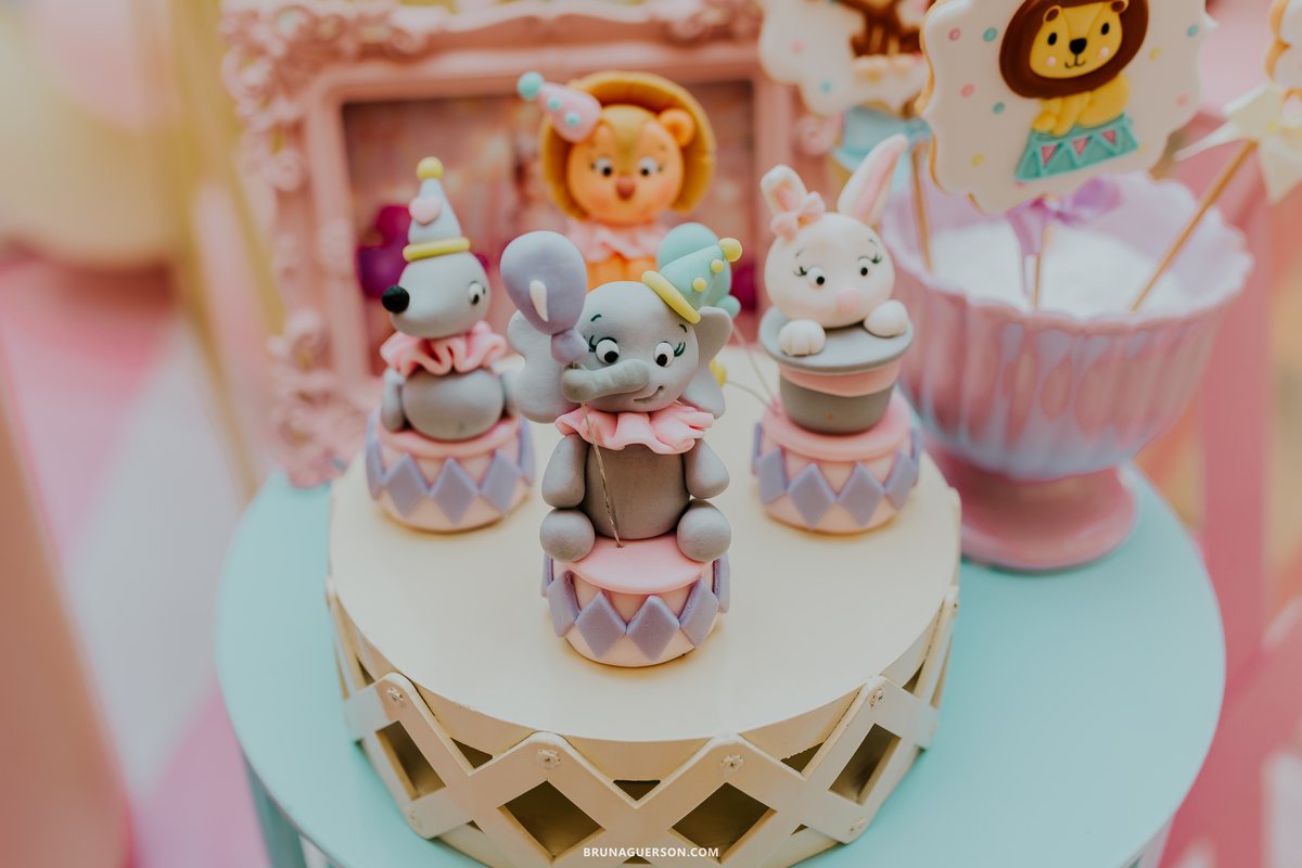 fotografia festa infantil menina 1 ano circo Icarai rio de janeiro niteroi