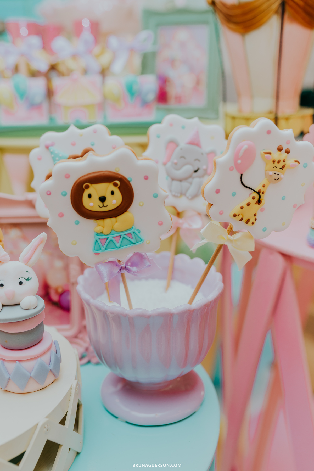 fotografia festa infantil menina 1 ano circo Icarai rio de janeiro niteroi