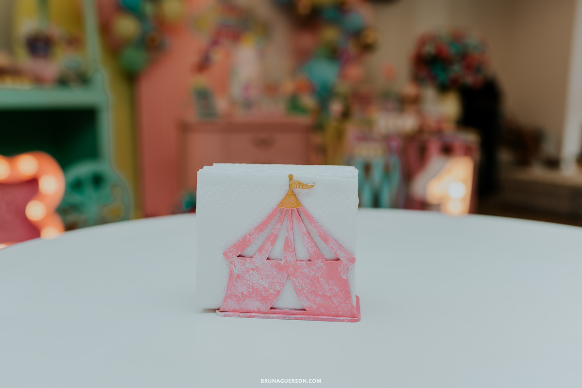 fotografia festa infantil menina 1 ano circo Icarai rio de janeiro niteroi