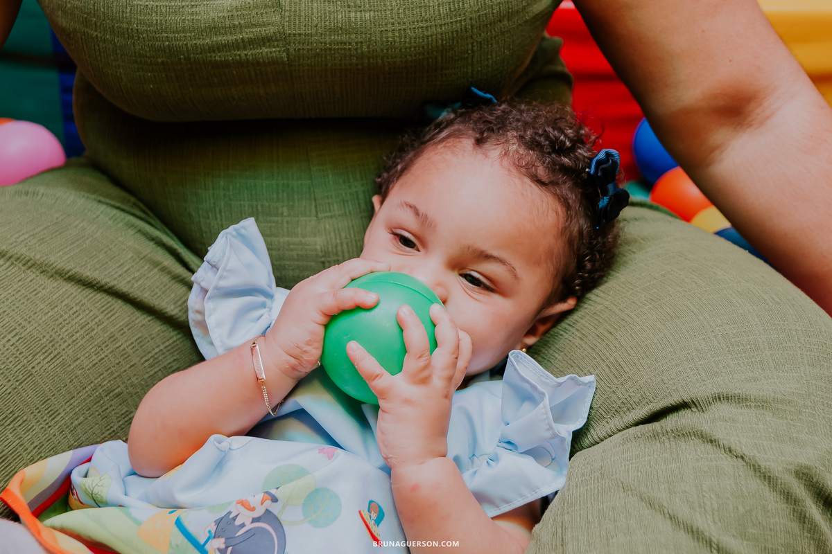 fotografa fotografia rio de janeiro 1 ano festa infantil em casa mundo bita ilha do governador rj 