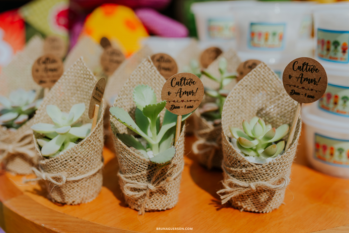 fotografia festa infantil ilha do governador Jardim Guanabara Rio de Janeiro 1 ano dom 