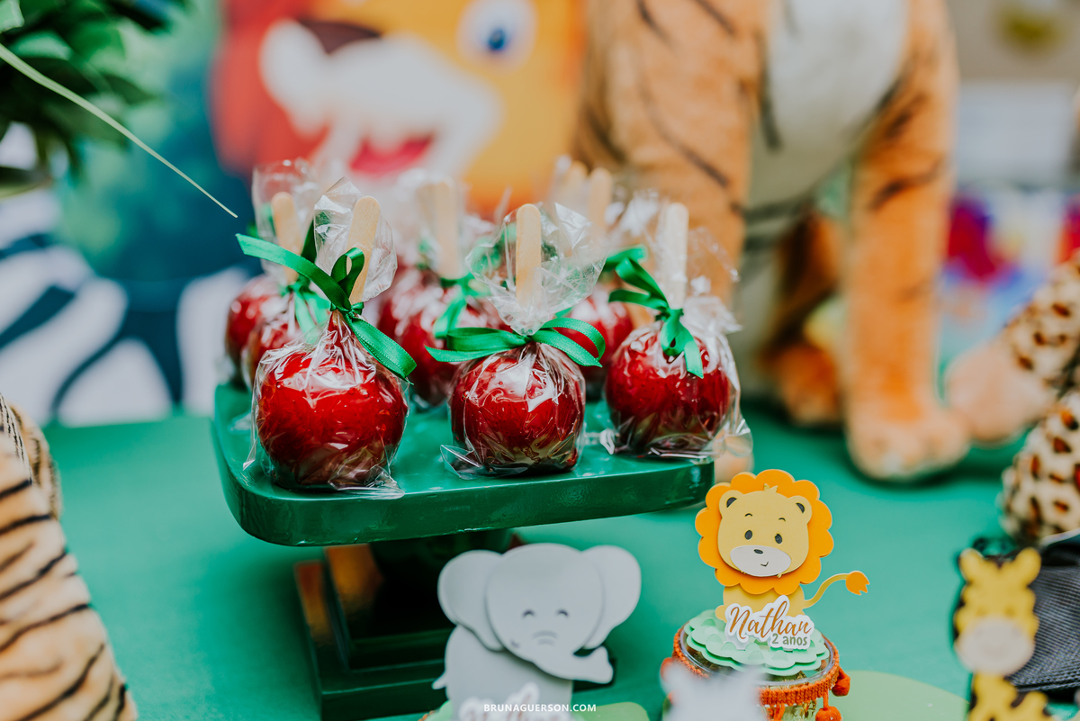 fotografia festa infantil 2 anos nathan rio de janeiro rj casa de festa safari