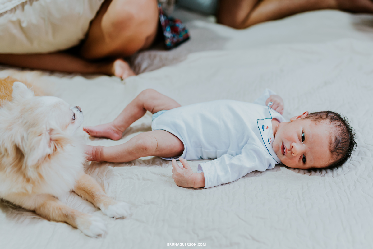 fotografia ensaio em casa familia bebe primeiros dias urca rio de janeiro