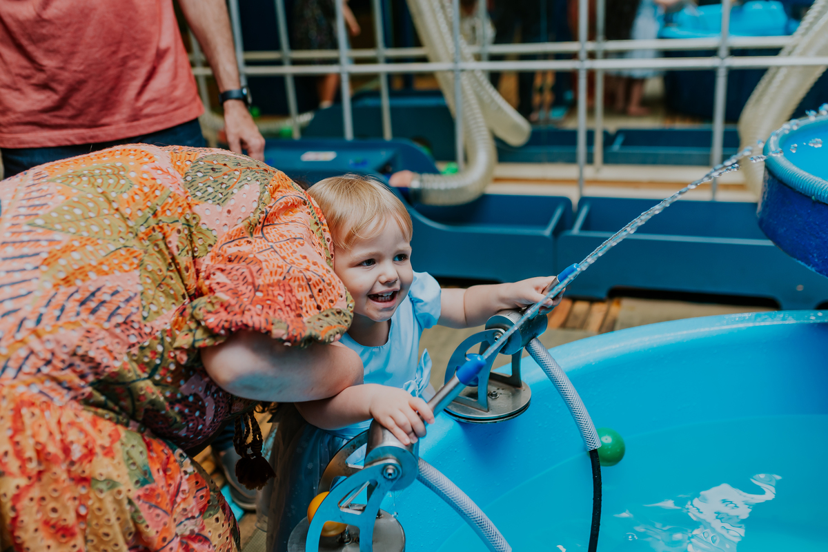 fotografia festa peppa 2 anos espoleta buffet rj Rio de Janeiro fotografo 