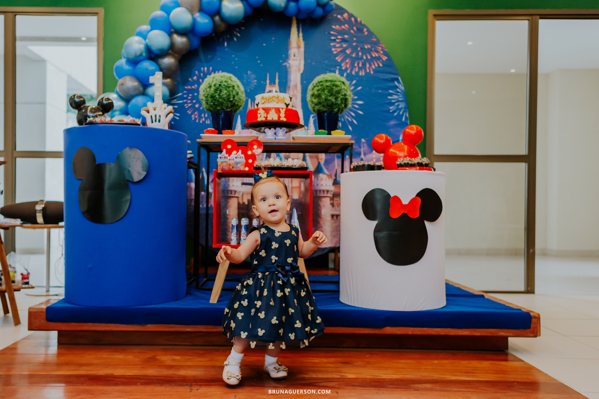 fotografia festa infantil 1 ano catarina Disney Recreio dos Bandeirantes Rio de Janeiro rj 