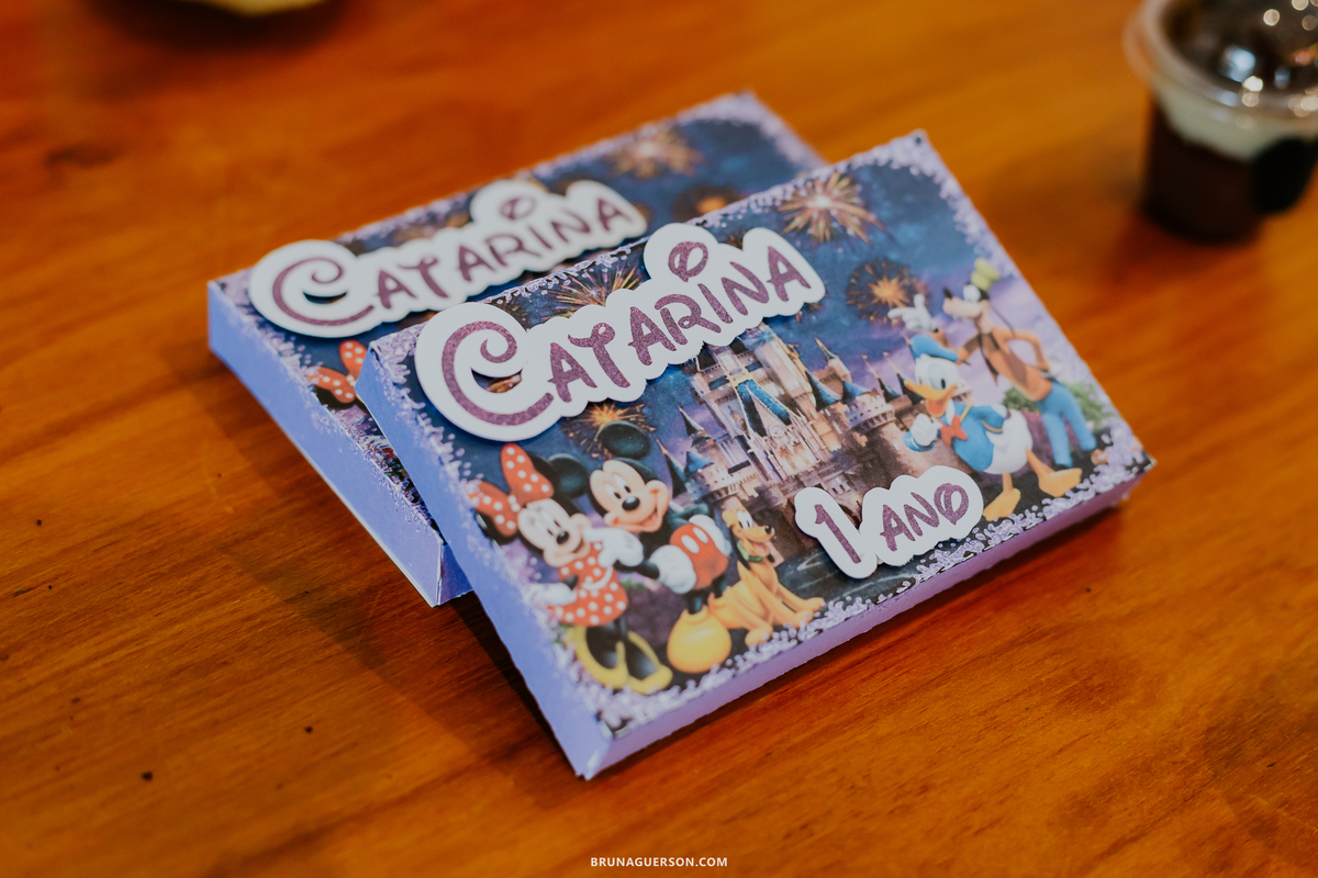 fotografia festa infantil 1 ano catarina Disney Recreio dos Bandeirantes Rio de Janeiro rj 