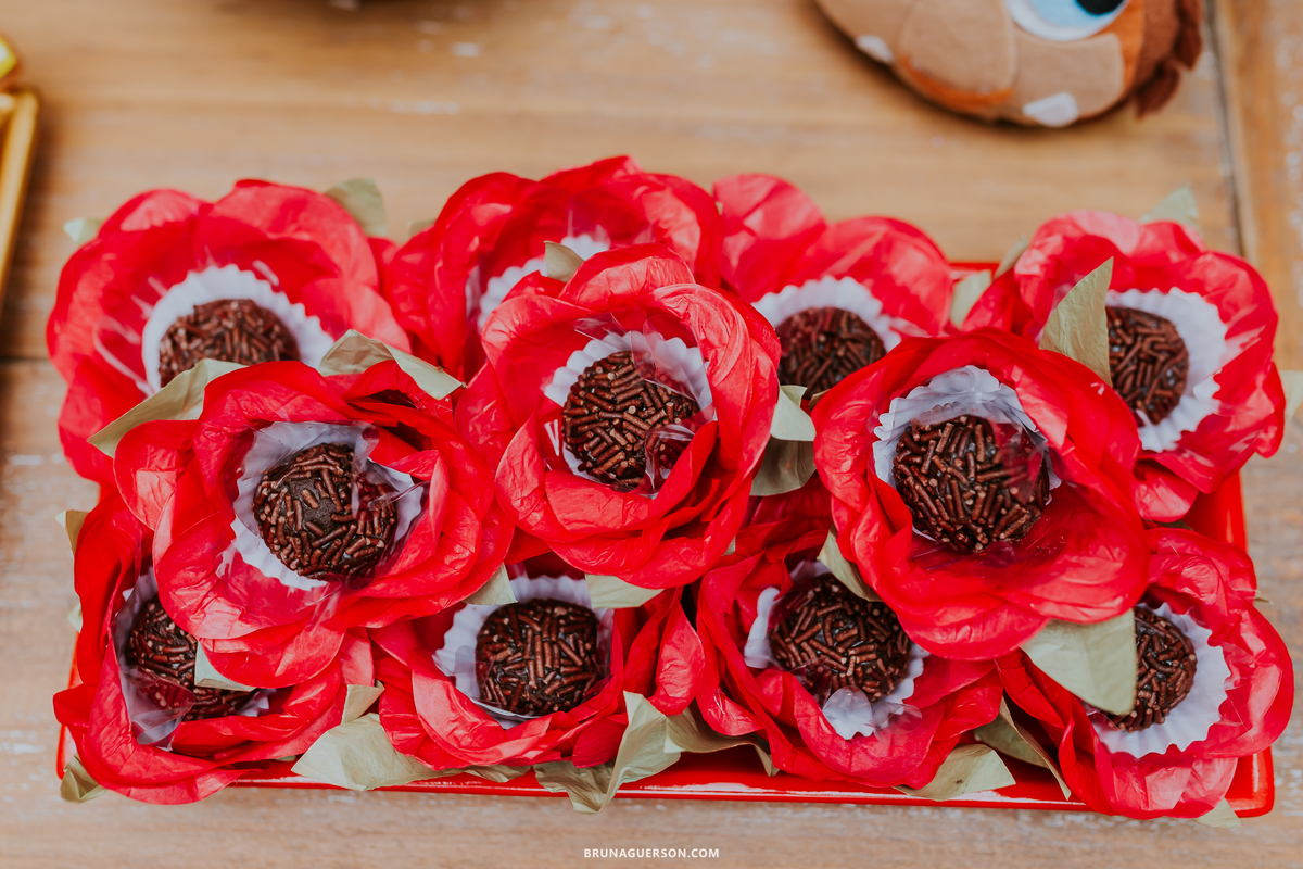fotografia festa infantil piratininga rio de janeiro niteroi 5 anos joanna