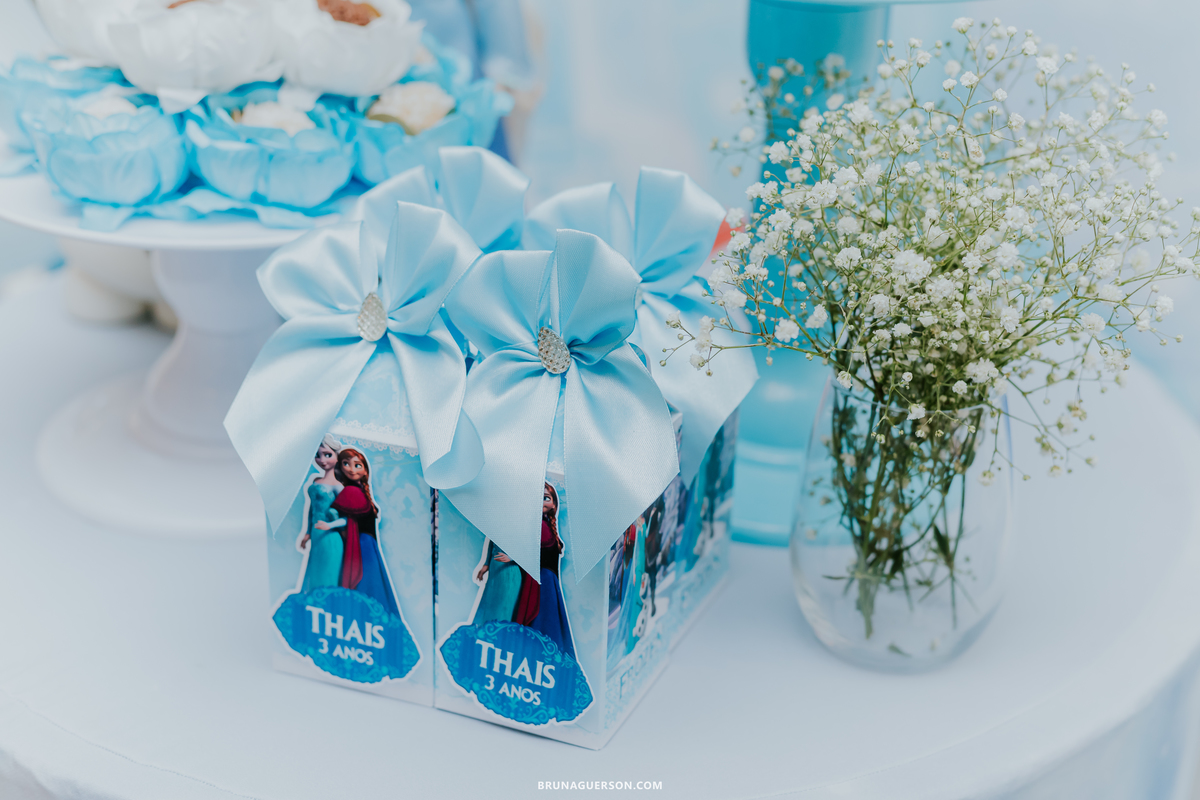 fotografia festa infantil tijuca Rio de Janeiro frozen thais 3 anos em casa
