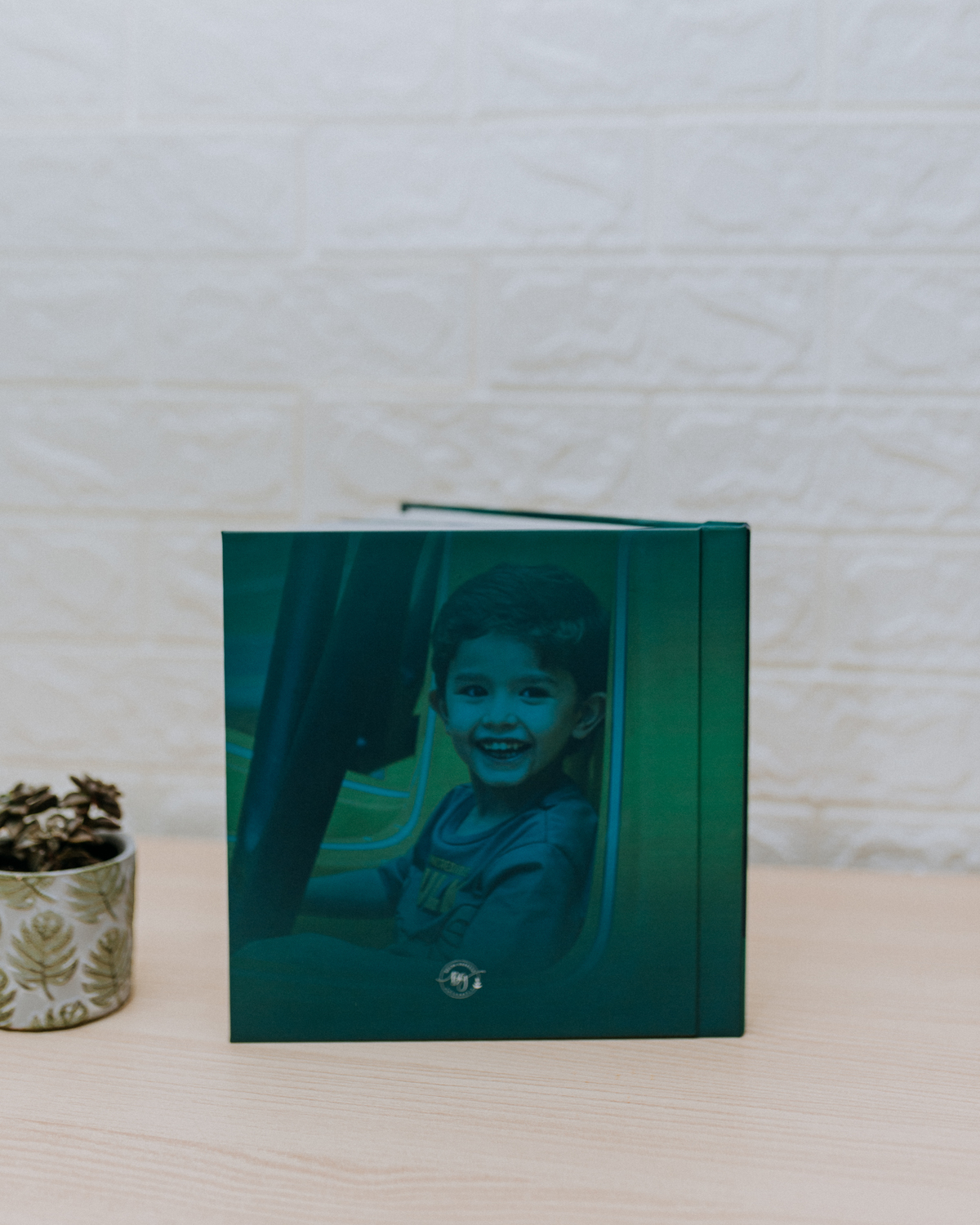 fotografia familia fotografa festa infantil album fotográfico personalizado design tema Hulk lucas 5 anos 