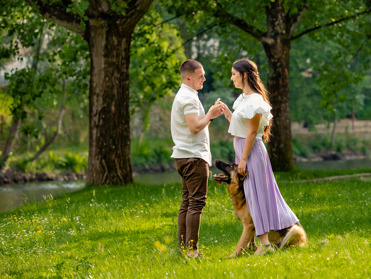 fotografia de solteriros com pastor alemão
