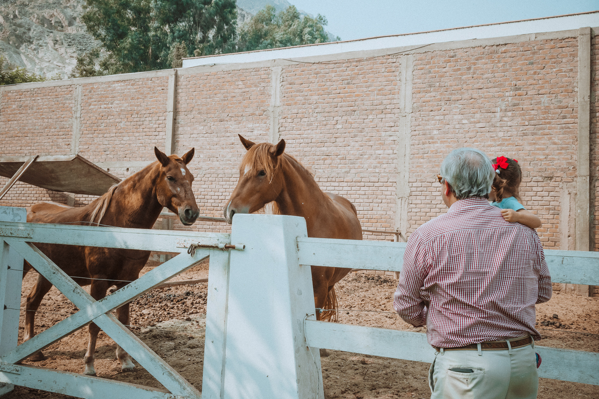 Boda matrimonio wedding novia novias novios previa alejandra ramos preparativos feliz amor love  vestido zapatos dress fotografa fotografa de bodas peru argentina photographer bride husband baile primer baile dance pary fiesta  sesión fotos amigos parro